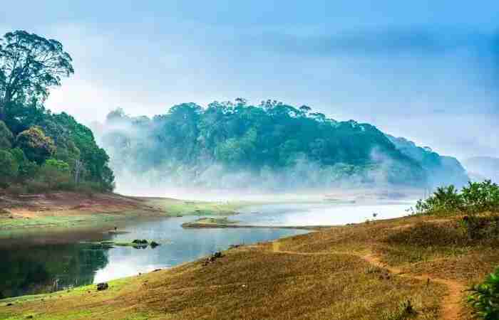 Natural Beauty Write for Us(1)